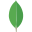 MongoDB